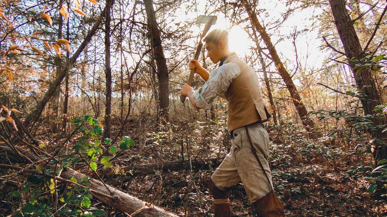 Best Tree Trimming Near Me  in Columbus, NC